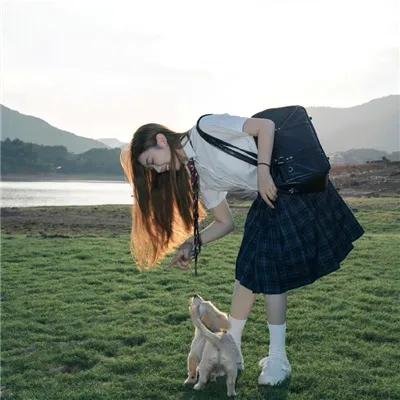 我和寻回犬的十个约定